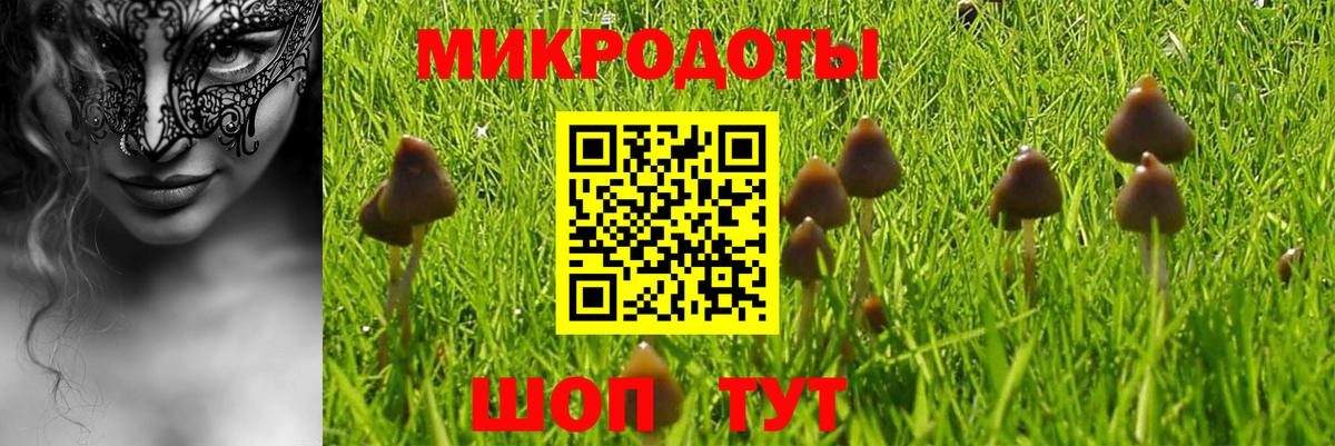 Псилоцибиновые грибы GOLDEN TEACHER  Галлюциногенные грибы Magic Shrooms  Вход с VPN  Пыть-Ях 