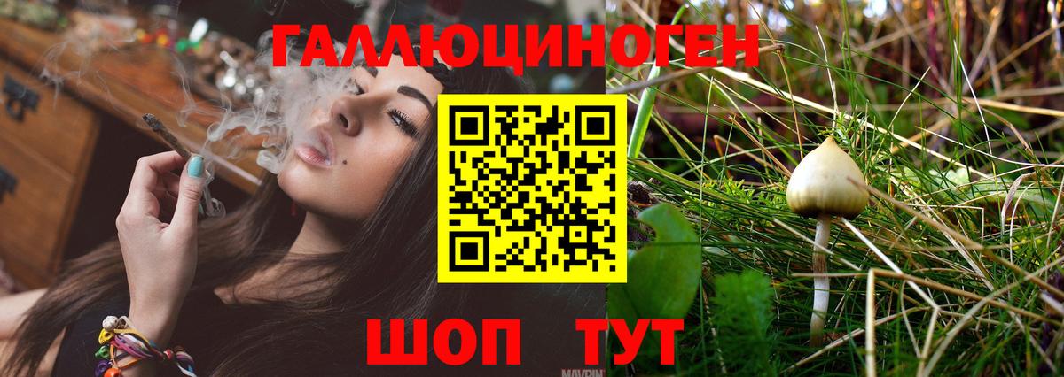 Галлюциногенные грибы мухоморы Пыть-Ях
